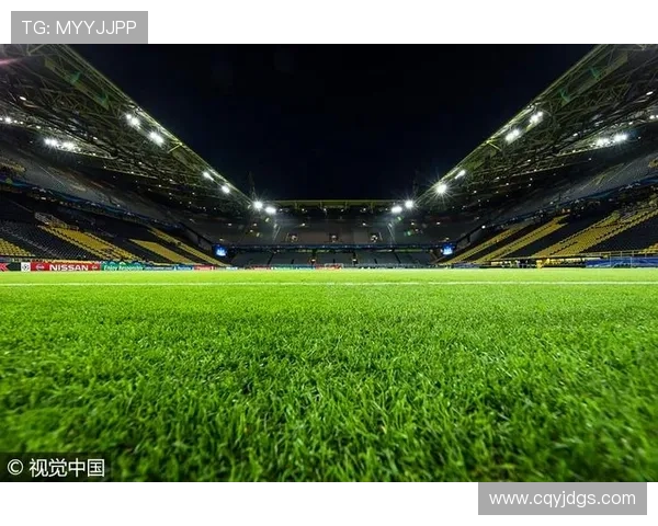 聚焦德国足球甲级联赛全景解析俱乐部竞争格局与未来发展趋势观察